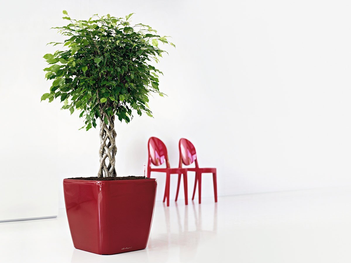 【レチューザ/Lechuza / GOODS】のQuadro JOKER 50 / クアドロ・ジョーカー50 底面灌水セット付 人気、トレンドファッション・服の通販 founy(ファニー) 定番 Standard, Basic Item ライナー Liner, Inner Layer 送料無料 Free Shipping おすすめ Recommended / Our Picks ホーム・キャンプ・アウトドア・お取り寄せ Home Living / Home & Lifestyle / Camping Gear / Outdoor Camping 家具・インテリア Home Furniture & Interior. Stylish & Functional Living Spaces その他 インテリア雑貨、家具 Home Decor & Furniture Extras other-1|ID: prp329100000000943 ipo3291000000030238282