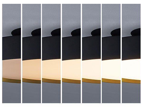 【フライミー ノワール/FLYMEe Noir / GOODS】のLED Ceiling Lamp / LED シーリングランプ #104634 インテリア・キッズ・メンズ・レディースファッション・服の通販 founy(ファニー) ウッド Wooden Design リラックス Relax, Relaxed Fit 送料無料 Free Shipping ホーム・キャンプ・アウトドア・お取り寄せ Home Living / Home & Lifestyle / Camping Gear / Outdoor Camping 家具・インテリア Home Furniture & Interior. Stylish & Functional Living Spaces ライト・照明 Lamps & Lighting Fixtures シーリングライト・天井照明 Ceiling Light / Flush Mount Light メインライト:無段階調整可(5~100%)|ID: prp329100000001416 ipo3291000000036843428