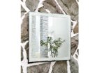 【フライミー ブラン/FLYMEe Blanc / GOODS】のWALL MIRROR / ウォールミラー m7773 -|ID: prp329100000001424 ipo3291000000030249289