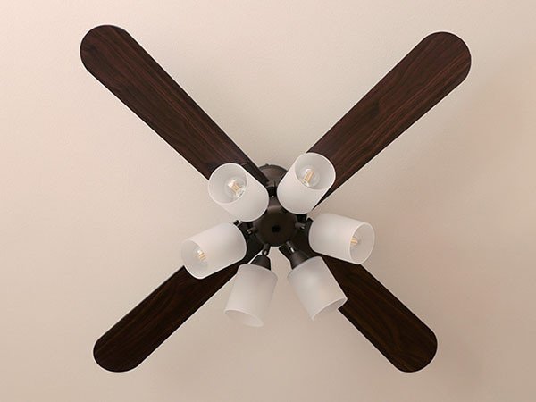 【フライミーパーラー/FLYMEe Parlor / GOODS】のCeiling Fan / シーリングファン #106235 人気、トレンドファッション・服の通販 founy(ファニー) 　送料無料　Free Shipping　ガラス　Glass, Glassware　ブレード　Braid, Decorative Trim　リバーシブル　Reversible, Two-Sided　冬　Winter / This Winter　夏　Summer　ホーム・キャンプ・アウトドア・お取り寄せ　Home Living / Home & Lifestyle / Camping Gear / Outdoor Camping　家具・インテリア　Home Furniture & Interior. Stylish & Functional Living Spaces　ライト・照明　Lamps & Lighting Fixtures　other-3|ID: prp329100000001645 ipo3291000000031544697