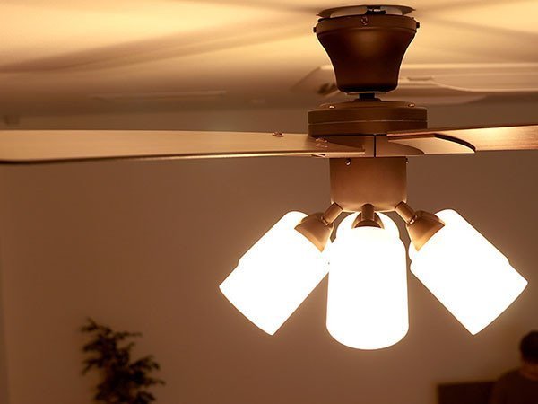 【フライミーパーラー/FLYMEe Parlor / GOODS】のCeiling Fan / シーリングファン #106235 人気、トレンドファッション・服の通販 founy(ファニー) 　送料無料　Free Shipping　ガラス　Glass, Glassware　ブレード　Braid, Decorative Trim　リバーシブル　Reversible, Two-Sided　冬　Winter / This Winter　夏　Summer　ホーム・キャンプ・アウトドア・お取り寄せ　Home Living / Home & Lifestyle / Camping Gear / Outdoor Camping　家具・インテリア　Home Furniture & Interior. Stylish & Functional Living Spaces　ライト・照明　Lamps & Lighting Fixtures　other-6|ID: prp329100000001645 ipo3291000000031544700