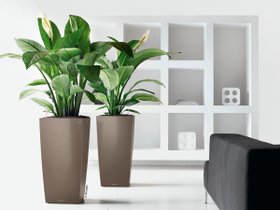 【レチューザ/Lechuza / GOODS】のCubico40 / キュービコ40 底面灌水セット付 人気、トレンドファッション・服の通販 founy(ファニー) シンプル Simple, Minimal スタイリッシュ Stylish, Fashionable フォルム Silhouette, Form ライナー Liner, Inner Layer 送料無料 Free Shipping おすすめ Recommended / Our Picks ホーム・キャンプ・アウトドア・お取り寄せ Home Living / Home & Lifestyle / Camping Gear / Outdoor Camping 家具・インテリア Home Furniture & Interior. Stylish & Functional Living Spaces その他 インテリア雑貨、家具 Home Decor & Furniture Extras |ID:prp329100000002086