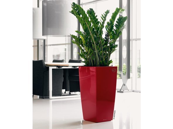 【レチューザ/Lechuza / GOODS】のCubico40 / キュービコ40 底面灌水セット付 インテリア・キッズ・メンズ・レディースファッション・服の通販 founy(ファニー) シンプル Simple, Minimal スタイリッシュ Stylish, Fashionable フォルム Silhouette, Form ライナー Liner, Inner Layer 送料無料 Free Shipping おすすめ Recommended / Our Picks ホーム・キャンプ・アウトドア・お取り寄せ Home Living / Home & Lifestyle / Camping Gear / Outdoor Camping 家具・インテリア Home Furniture & Interior. Stylish & Functional Living Spaces その他 インテリア雑貨、家具 Home Decor & Furniture Extras スカーレット(クリアカラー)|ID: prp329100000002086 ipo3291000000030238647