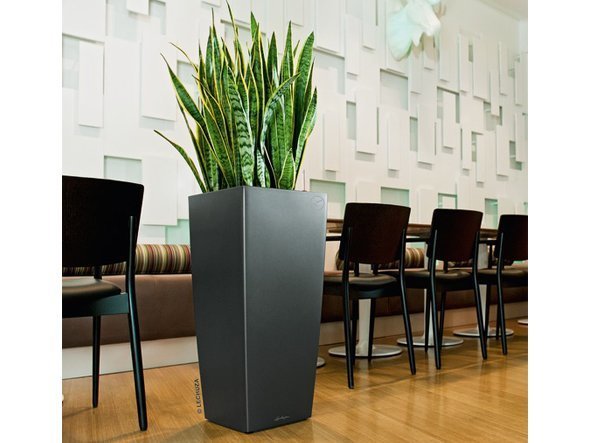 【レチューザ/Lechuza / GOODS】のCubico40 / キュービコ40 底面灌水セット付 インテリア・キッズ・メンズ・レディースファッション・服の通販 founy(ファニー) シンプル Simple, Minimal スタイリッシュ Stylish, Fashionable フォルム Silhouette, Form ライナー Liner, Inner Layer 送料無料 Free Shipping おすすめ Recommended / Our Picks ホーム・キャンプ・アウトドア・お取り寄せ Home Living / Home & Lifestyle / Camping Gear / Outdoor Camping 家具・インテリア Home Furniture & Interior. Stylish & Functional Living Spaces その他 インテリア雑貨、家具 Home Decor & Furniture Extras チャコール(マットカラー)|ID: prp329100000002086 ipo3291000000030238653