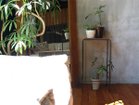 thumbnail other-6