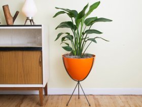 【ヒップヘイヴン/Hip Haven / GOODS】のRetro Bullet Planter Medium / レトロビュレット プランター ミディアム 人気、トレンドファッション・服の通販 founy(ファニー) 送料無料 Free Shipping おすすめ Recommended / Our Picks グラス Glass, Eyewear ショート Short, Short Length タオル Towel, Bath Towel バスケット Basket, Basket Bag フレーム Frame, Outline ブランケット Blanket, Throw Blanket 雑誌 Magazine, Fashion Magazine ホーム・キャンプ・アウトドア・お取り寄せ Home Living / Home & Lifestyle / Camping Gear / Outdoor Camping 家具・インテリア Home Furniture & Interior. Stylish & Functional Living Spaces その他 インテリア雑貨、家具 Home Decor & Furniture Extras |ID:prp329100000002293