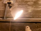 【フライミーパーラー/FLYMEe Parlor / GOODS】のSpot Light / スポットライト 引掛けシーリング仕様 #105496 大人の最旬トレンドファッション＆コーディネート founy(ファウニー) バランス Balance, Style Balance メタリック Metallic, Shiny Finish リラックス Relax, Relaxed Fit ホーム・キャンプ・アウトドア・お取り寄せ Home Living / Home & Lifestyle / Camping Gear / Outdoor Camping 家具・インテリア Home Furniture & Interior. Stylish & Functional Living Spaces ライト・照明 Lamps & Lighting Fixtures thumbnail 「リモコンLED電球」選択時 調色イメージ|ID: prp329100000002914 ipo3291000000037072911