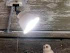 【フライミーパーラー/FLYMEe Parlor / GOODS】のSpot Light / スポットライト 引掛けシーリング仕様 #105496 大人の最旬トレンドファッション＆コーディネート founy(ファウニー) バランス Balance, Style Balance メタリック Metallic, Shiny Finish リラックス Relax, Relaxed Fit ホーム・キャンプ・アウトドア・お取り寄せ Home Living / Home & Lifestyle / Camping Gear / Outdoor Camping 家具・インテリア Home Furniture & Interior. Stylish & Functional Living Spaces ライト・照明 Lamps & Lighting Fixtures thumbnail 「リモコンLED電球」選択時 調色イメージ|ID: prp329100000002914 ipo3291000000037072912