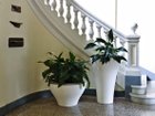 【フライミー ノワール/FLYMEe Noir / GOODS】のPlanter / プランター #20810 |ID: prp329100000003075 ipo3291000000030238596