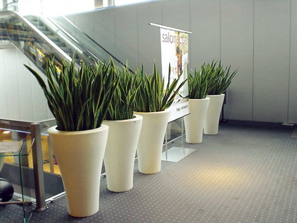 【フライミー ノワール/FLYMEe Noir / GOODS】のPlanter / プランター #20810 人気、トレンドファッション・服の通販 founy(ファニー) 　送料無料　Free Shipping　シェイプ　Shape, Slim Fit　フォルム　Silhouette, Form　ホーム・キャンプ・アウトドア・お取り寄せ　Home Living / Home & Lifestyle / Camping Gear / Outdoor Camping　家具・インテリア　Home Furniture & Interior. Stylish & Functional Living Spaces　その他 インテリア雑貨、家具　Home Decor & Furniture Extras　other-6|ID: prp329100000003075 ipo3291000000031526524