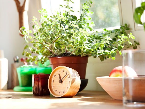 【レムノス/Lemnos / GOODS】のMUKU desk clock / ムク デスク クロック 人気、トレンドファッション・服の通販 founy(ファニー) 　デスク　Desk, Work Desk　時計　Watch, Wristwatch　ホーム・キャンプ・アウトドア・お取り寄せ　Home Living / Home & Lifestyle / Camping Gear / Outdoor Camping　家具・インテリア　Home Furniture & Interior. Stylish & Functional Living Spaces　その他 インテリア雑貨、家具　Home Decor & Furniture Extras　other-5|ID: prp329100000003458 ipo3291000000031489253