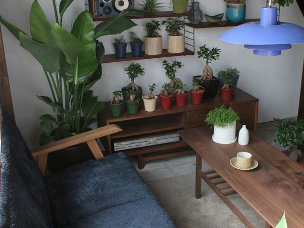 【グリニッチ オリジナル ファニチャー/greeniche original furniture / GOODS】のAV Board 1200 / AVボード 1200 人気、トレンドファッション・服の通販 founy(ファニー) 　シンプル　Simple　スマート　Smart　フラット　Flat　ホーム・キャンプ・アウトドア・お取り寄せ　Home,Garden,Outdoor,Camping Gear　家具・インテリア　Furniture　テレビボード・テレビ台　TV Stand　テレビボード　Tv Board　other-6|ID: prp329100000004010 ipo3291000000031499419