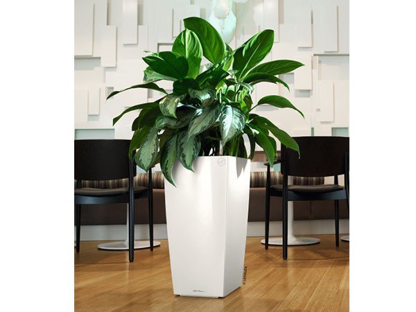 【レチューザ/Lechuza / GOODS】のCubico30 / キュービコ30 底面灌水セット付 インテリア・キッズ・メンズ・レディースファッション・服の通販 founy(ファニー) 　シンプル　Simple, Minimal　モダン　Modern, Contemporary　ライナー　Liner, Inner Layer　送料無料　Free Shipping　おすすめ　Recommended / Our Picks　ホーム・キャンプ・アウトドア・お取り寄せ　Home Living / Home & Lifestyle / Camping Gear / Outdoor Camping　家具・インテリア　Home Furniture & Interior. Stylish & Functional Living Spaces　その他 インテリア雑貨、家具　Home Decor & Furniture Extras　ホワイト(クリアカラー)|ID: prp329100000004233 ipo3291000000030236425