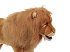 【ハンサ/HANSA / GOODS】のLION STOOL / ライオン スツール 人気、トレンドファッション・服の通販 founy(ファニー) 送料無料 Free Shipping ハンド Hand, Handmade リアル Real, Realistic thumbnail ハンドメイドならではの個性と愛嬌のある表情が魅力です。|ID: prp329100000004267 ipo3291000000030225413