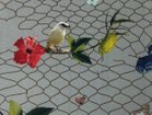 thumbnail other-6