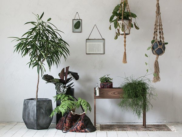 【グリニッチ オリジナル ファニチャー/greeniche original furniture / GOODS】のPlanter / プランター 人気、トレンドファッション・服の通販 founy(ファニー) ホーム・キャンプ・アウトドア・お取り寄せ Home Living / Home & Lifestyle / Camping Gear / Outdoor Camping 家具・インテリア Home Furniture & Interior. Stylish & Functional Living Spaces その他 インテリア雑貨、家具 Home Decor & Furniture Extras other-2|ID: prp329100000004325 ipo3291000000031526549