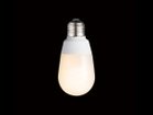 【フライミーパーラー/FLYMEe Parlor / GOODS】のSpot Light L / スポット ライト Lサイズ #100463 付属電球:蛍光球(BU-1094)|ID: prp329100000004816 ipo3291000000030185329