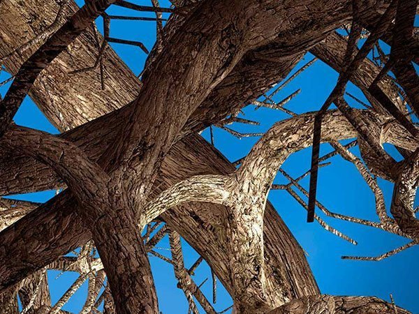 【モーイ/moooi / GOODS】のLiquid Maple / リキッドメイプル 人気、トレンドファッション・服の通販 founy(ファニー) 　送料無料　Free Shipping　コレクション　Collection, Seasonal Line　ホーム・キャンプ・アウトドア・お取り寄せ　Home Living / Home & Lifestyle / Camping Gear / Outdoor Camping　家具・インテリア　Home Furniture & Interior. Stylish & Functional Living Spaces　その他 インテリア雑貨、家具　Home Decor & Furniture Extras　other-2|ID: prp329100000005416 ipo3291000000031538597