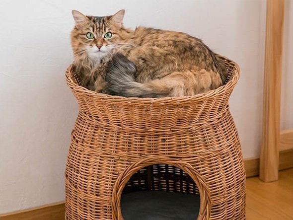 【フライミーヴィラ/FLYMEe Villa / GOODS】のRattan Pet House / ラタン ペットハウス e45040 人気、トレンドファッション・服の通販 founy(ファニー) 　送料無料　Free Shipping　ラタン　Rattan　リラックス　Relax　犬　Dog　猫　Cat　軽量　Lightweight　ホーム・キャンプ・アウトドア・お取り寄せ　Home,Garden,Outdoor,Camping Gear　家具・インテリア　Home Furniture & Interior. Stylish & Functional Living Spaces　その他 インテリア雑貨、家具　Furniture, Interior, Others　other-2|ID: prp329100000005651 ipo3291000000031505912