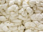 【山形緞通/Yamagata Dantsu / GOODS】のNEOCLASSIC LINE botan / 新古典ライン 牡丹 原料は主にニュージーランド産とイギリス産の羊毛です。剛直性、弾性、柔軟性に分類し、製品に合わせブレン|ID:prp329100000005987
