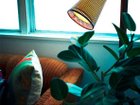 thumbnail other-6
