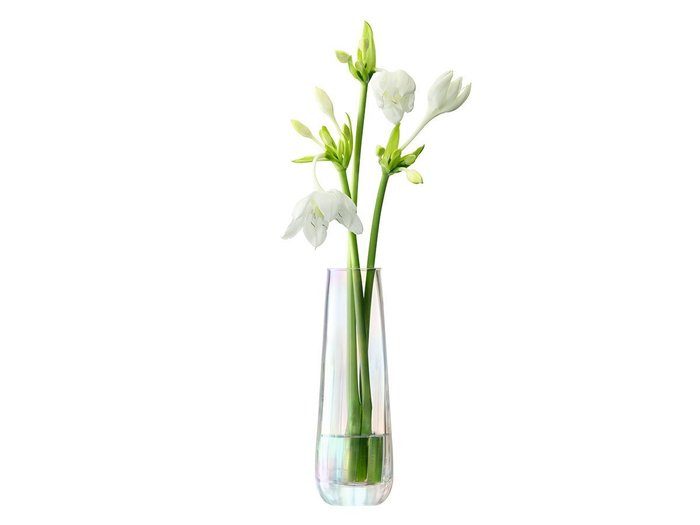 【エルエスエー インターナショナル/LSA international / GOODS】のPEARL VASE / パールベース 高さ20cm インテリア・キッズ・メンズ・レディースファッション・服の通販 founy(ファニー) https://founy.com/ 送料無料 Free Shipping ハンド Hand パール Pearl フラワー Flower エレガント 上品 Elegant ホーム・キャンプ・アウトドア・お取り寄せ Home,Garden,Outdoor,Camping Gear 家具・インテリア Home Furniture & Interior. Stylish & Functional Living Spaces その他 インテリア雑貨、家具 Furniture, Interior, Others |ID: prp329100000006302 ipo3291000000030237945