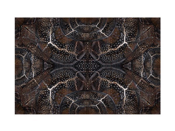 【モーイ/moooi / GOODS】のExtinct Animal Rug BLOOMING SEADRAGON / ブルーミングシードラゴン インテリア・キッズ・メンズ・レディースファッション・服の通販 founy(ファニー) https://founy.com/ コレクション Collection 送料無料 Free Shipping ホーム・キャンプ・アウトドア・お取り寄せ Home,Garden,Outdoor,Camping Gear 家具・インテリア Furniture その他 インテリア雑貨、家具 Furniture, Interior, Others |ID: prp329100000006421 ipo3291000000030221393