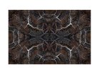 【モーイ/moooi / GOODS】のExtinct Animal Rug BLOOMING SEADRAGON / ブルーミングシードラゴン -|ID: prp329100000006421 ipo3291000000030221399