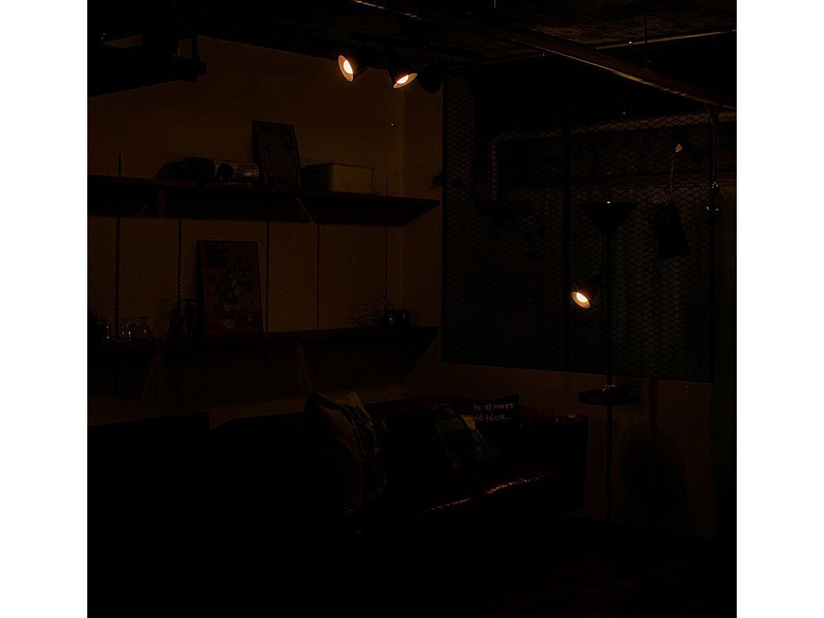 【フライミーパーラー/FLYMEe Parlor / GOODS】のPendant Light / ペンダントライト #105521 インテリア・キッズ・メンズ・レディースファッション・服の通販 founy(ファニー) 　おすすめ　Recommended / Our Picks　ウッド　Wooden Design　コンパクト　Compact, Small Size　テーブル　Table, Dining Table　リラックス　Relax, Relaxed Fit　ホーム・キャンプ・アウトドア・お取り寄せ　Home Living / Home & Lifestyle / Camping Gear / Outdoor Camping　家具・インテリア　Home Furniture & Interior. Stylish & Functional Living Spaces　ライト・照明　Lamps & Lighting Fixtures　ペンダントライト・吊り下げ照明　Pendant Light / Hanging Light Fixture　「リモコンLED電球」選択時 調光参考イメージ|ID: prp329100000006870 ipo3291000000034424926