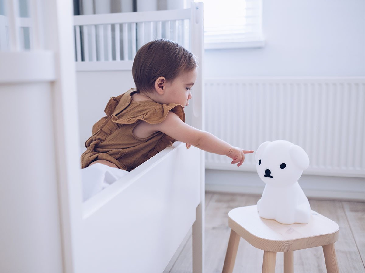 【ミスターマリア/Mr Maria / GOODS】のFIRST LIGHT miffy and friends Snuffy / ファーストライト ミッフィー & フレンズ スナッフィー 人気、トレンドファッション・服の通販 founy(ファニー) 　アウトドア　Outdoor　シリコン　Silicon　テーブル　Table　ベビー　Baby　送料無料　Free Shipping　おすすめ　Recommend　犬　Dog　ホーム・キャンプ・アウトドア・お取り寄せ　Home,Garden,Outdoor,Camping Gear　家具・インテリア　Furniture　ライト・照明　Lighting & Light Fixtures　ホーム・キャンプ・アウトドア・お取り寄せ　Home,Garden,Outdoor,Camping Gear　家具・インテリア　Furniture　キッズ家具　Kids' Furniture　other-3|ID: prp329100000007252 ipo3291000000031542959