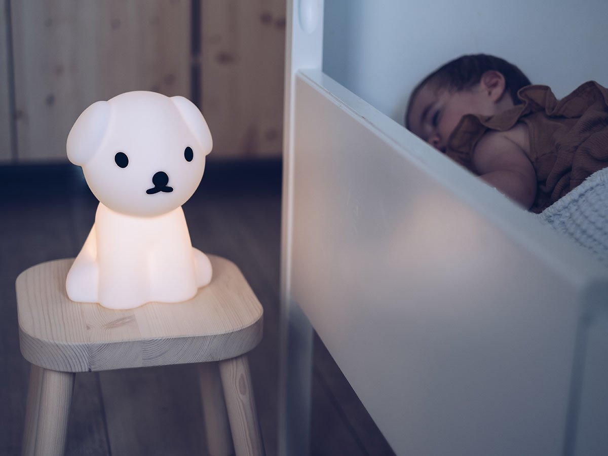 【ミスターマリア/Mr Maria / GOODS】のFIRST LIGHT miffy and friends Snuffy / ファーストライト ミッフィー & フレンズ スナッフィー 人気、トレンドファッション・服の通販 founy(ファニー) 　アウトドア　Outdoor　シリコン　Silicon　テーブル　Table　ベビー　Baby　送料無料　Free Shipping　おすすめ　Recommend　犬　Dog　ホーム・キャンプ・アウトドア・お取り寄せ　Home,Garden,Outdoor,Camping Gear　家具・インテリア　Furniture　ライト・照明　Lighting & Light Fixtures　ホーム・キャンプ・アウトドア・お取り寄せ　Home,Garden,Outdoor,Camping Gear　家具・インテリア　Furniture　キッズ家具　Kids' Furniture　other-4|ID: prp329100000007252 ipo3291000000031542960
