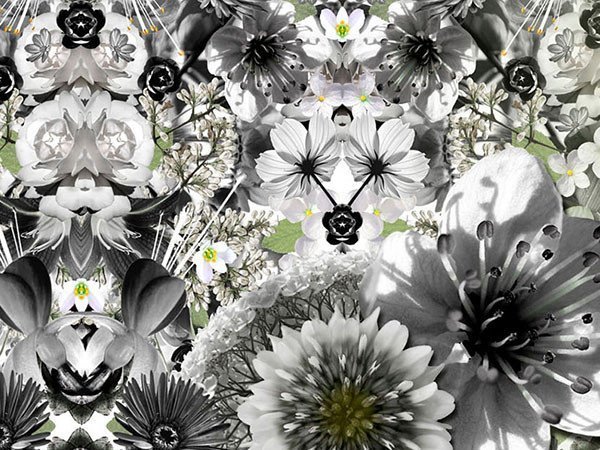 【モーイ/moooi / GOODS】のEden King / エデンキング 人気、トレンドファッション・服の通販 founy(ファニー) 　送料無料　Free Shipping　コレクション　Collection　パターン　Pattern　ホーム・キャンプ・アウトドア・お取り寄せ　Home,Garden,Outdoor,Camping Gear　家具・インテリア　Furniture　その他 インテリア雑貨、家具　Furniture, Interior, Others　other-5|ID: prp329100000007258 ipo3291000000031538649