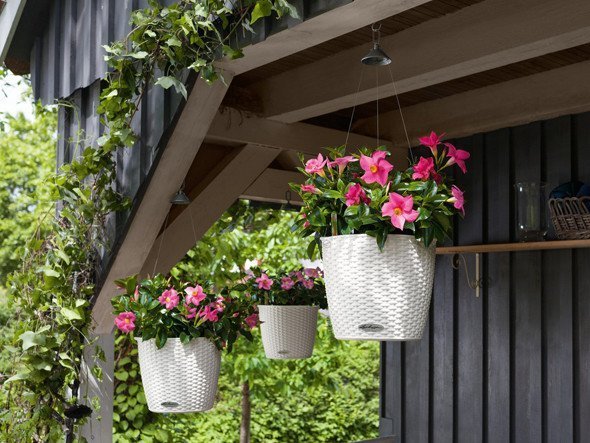 【レチューザ/Lechuza / GOODS】のCottage Nido / コテージニド 底面灌水セット付 人気、トレンドファッション・服の通販 founy(ファニー) 　ライナー　Liner, Inner Layer　送料無料　Free Shipping　おすすめ　Recommended / Our Picks　ホーム・キャンプ・アウトドア・お取り寄せ　Home Living / Home & Lifestyle / Camping Gear / Outdoor Camping　家具・インテリア　Home Furniture & Interior. Stylish & Functional Living Spaces　その他 インテリア雑貨、家具　Home Decor & Furniture Extras　other-4|ID: prp329100000007346 ipo3291000000031526309