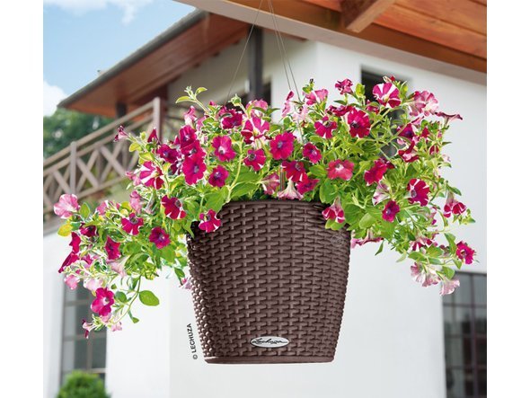 【レチューザ/Lechuza / GOODS】のCottage Nido / コテージニド 底面灌水セット付 人気、トレンドファッション・服の通販 founy(ファニー) 　ライナー　Liner, Inner Layer　送料無料　Free Shipping　おすすめ　Recommended / Our Picks　ホーム・キャンプ・アウトドア・お取り寄せ　Home Living / Home & Lifestyle / Camping Gear / Outdoor Camping　家具・インテリア　Home Furniture & Interior. Stylish & Functional Living Spaces　その他 インテリア雑貨、家具　Home Decor & Furniture Extras　other-5|ID: prp329100000007346 ipo3291000000031526310