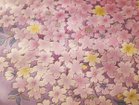 【山形緞通/Yamagata Dantsu / GOODS】のCLASSIC LINE okazu / 古典ライン 桜花図 200 × 140cm 参考イメージ|ID:prp329100000007353