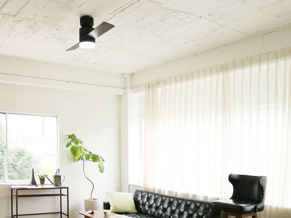 【フライミーパーラー/FLYMEe Parlor / GOODS】のCeiling Fan / シーリングファン #101367 人気、トレンドファッション・服の通販 founy(ファニー) 　フラット　Flat, Flat Shoes　ブレード　Braid, Decorative Trim　冬　Winter / This Winter　送料無料　Free Shipping　夏　Summer　ホーム・キャンプ・アウトドア・お取り寄せ　Home Living / Home & Lifestyle / Camping Gear / Outdoor Camping　家具・インテリア　Home Furniture & Interior. Stylish & Functional Living Spaces　ライト・照明　Lamps & Lighting Fixtures　other-2|ID: prp329100000007507 ipo3291000000031510261