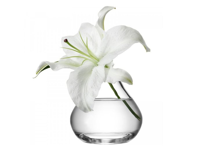 【エルエスエー インターナショナル/LSA international / GOODS】のFLOWER SPRIG VASE / フラワー スプリグベース インテリア・キッズ・メンズ・レディースファッション・服の通販 founy(ファニー) https://founy.com/ フラワー Flower ホーム・キャンプ・アウトドア・お取り寄せ Home,Garden,Outdoor,Camping Gear 家具・インテリア Home Furniture & Interior. Stylish & Functional Living Spaces その他 インテリア雑貨、家具 Furniture, Interior, Others |ID: prp329100000007712 ipo3291000000030244245