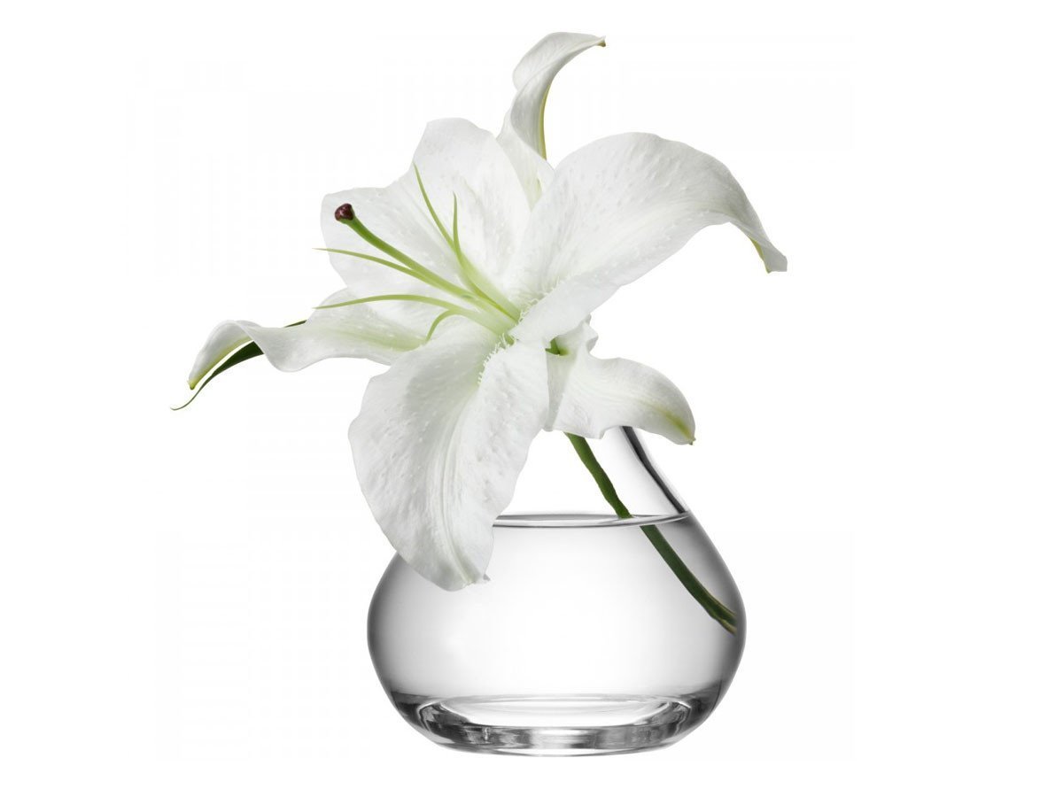 【エルエスエー インターナショナル/LSA international / GOODS】のFLOWER SPRIG VASE / フラワー スプリグベース インテリア・キッズ・メンズ・レディースファッション・服の通販 founy(ファニー) 　フラワー　Flower　ホーム・キャンプ・アウトドア・お取り寄せ　Home,Garden,Outdoor,Camping Gear　家具・インテリア　Home Furniture & Interior. Stylish & Functional Living Spaces　その他 インテリア雑貨、家具　Furniture, Interior, Others　-|ID: prp329100000007712 ipo3291000000030244251