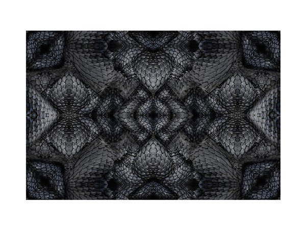 【モーイ/moooi / GOODS】のExtinct Animal Rug DWARF RHINO / ドワーフライノ インテリア・キッズ・メンズ・レディースファッション・服の通販 founy(ファニー) https://founy.com/ コレクション Collection シルバー Silver パターン Pattern メタリック Metallic 送料無料 Free Shipping ホーム・キャンプ・アウトドア・お取り寄せ Home,Garden,Outdoor,Camping Gear 家具・インテリア Furniture その他 インテリア雑貨、家具 Furniture, Interior, Others |ID: prp329100000007850 ipo3291000000030221375