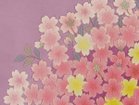 【山形緞通/Yamagata Dantsu / GOODS】のCLASSIC LINE okazu / 古典ライン 桜花図 参考イメージ|ID: prp329100000008069 ipo3291000000025329378