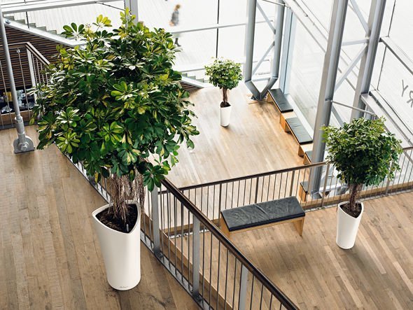 【レチューザ/Lechuza / GOODS】のDelta / デルタ 底面灌水セット付 人気、トレンドファッション・服の通販 founy(ファニー) ドット Polka Dot, Dot Pattern フォルム Silhouette, Form ライナー Liner, Inner Layer 送料無料 Free Shipping おすすめ Recommended / Our Picks ホーム・キャンプ・アウトドア・お取り寄せ Home Living / Home & Lifestyle / Camping Gear / Outdoor Camping 家具・インテリア Home Furniture & Interior. Stylish & Functional Living Spaces その他 インテリア雑貨、家具 Home Decor & Furniture Extras other-4|ID: prp329100000008401 ipo3291000000031526300