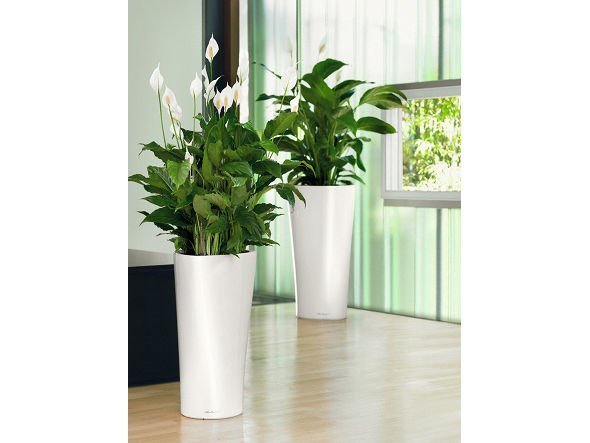 【レチューザ/Lechuza / GOODS】のDelta / デルタ 底面灌水セット付 人気、トレンドファッション・服の通販 founy(ファニー) ドット Polka Dot, Dot Pattern フォルム Silhouette, Form ライナー Liner, Inner Layer 送料無料 Free Shipping おすすめ Recommended / Our Picks ホーム・キャンプ・アウトドア・お取り寄せ Home Living / Home & Lifestyle / Camping Gear / Outdoor Camping 家具・インテリア Home Furniture & Interior. Stylish & Functional Living Spaces その他 インテリア雑貨、家具 Home Decor & Furniture Extras other-5|ID: prp329100000008401 ipo3291000000031526301