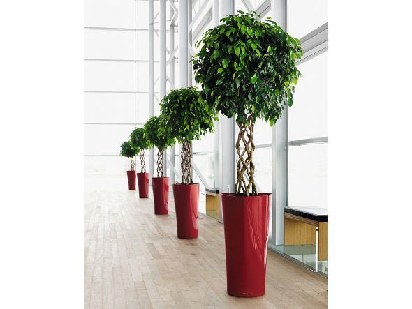 【レチューザ/Lechuza / GOODS】のDelta / デルタ 底面灌水セット付 人気、トレンドファッション・服の通販 founy(ファニー) ドット Polka Dot, Dot Pattern フォルム Silhouette, Form ライナー Liner, Inner Layer 送料無料 Free Shipping おすすめ Recommended / Our Picks ホーム・キャンプ・アウトドア・お取り寄せ Home Living / Home & Lifestyle / Camping Gear / Outdoor Camping 家具・インテリア Home Furniture & Interior. Stylish & Functional Living Spaces その他 インテリア雑貨、家具 Home Decor & Furniture Extras other-6|ID: prp329100000008401 ipo3291000000031526303