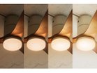 【フライミーパーラー/FLYMEe Parlor / GOODS】のCeiling Fan / シーリングファン #101365 LEDタイプ:電球色|ID: prp329100000008795 ipo3291000000030253231