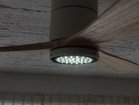 【フライミーパーラー/FLYMEe Parlor / GOODS】のCeiling Fan / シーリングファン #101365 LEDタイプ:白昼色|ID: prp329100000008795 ipo3291000000030253234