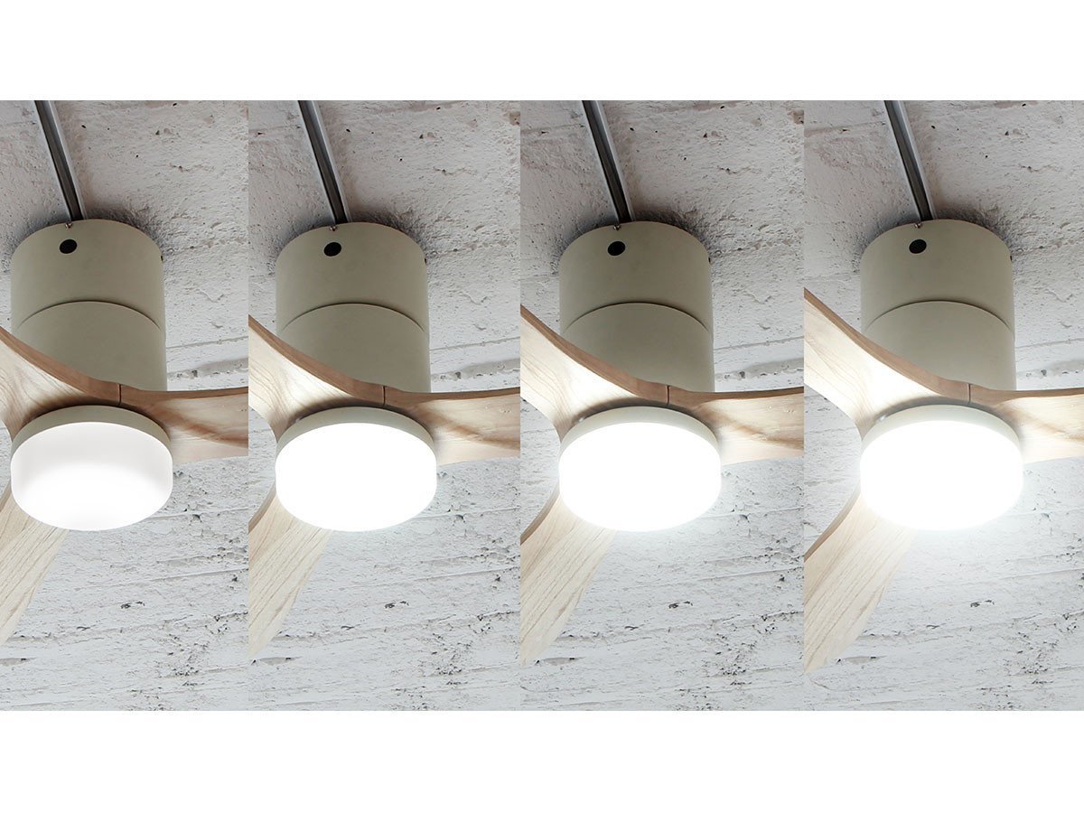 【フライミーパーラー/FLYMEe Parlor / GOODS】のCeiling Fan / シーリングファン #101365 インテリア・キッズ・メンズ・レディースファッション・服の通販 founy(ファニー) 　フラット　Flat, Flat Shoes　ブレード　Braid, Decorative Trim　冬　Winter / This Winter　送料無料　Free Shipping　夏　Summer　ホーム・キャンプ・アウトドア・お取り寄せ　Home Living / Home & Lifestyle / Camping Gear / Outdoor Camping　家具・インテリア　Home Furniture & Interior. Stylish & Functional Living Spaces　ライト・照明　Lamps & Lighting Fixtures　LEDタイプ:白昼色|ID: prp329100000008795 ipo3291000000030253237