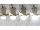 【フライミーパーラー/FLYMEe Parlor / GOODS】のCeiling Fan / シーリングファン #101365 LEDタイプ:白昼色|ID: prp329100000008795 ipo3291000000037061613