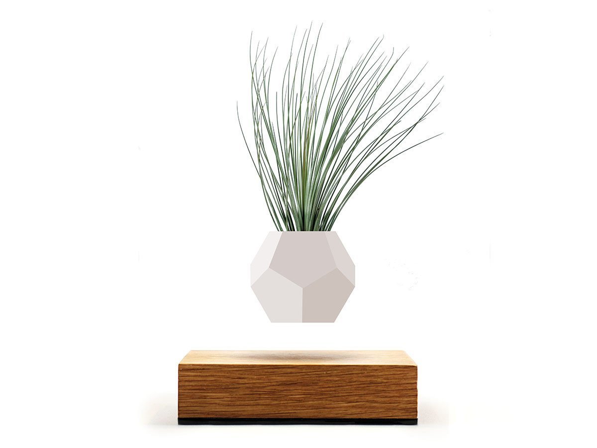 【フライミー プリュス/FLYMEe PLUS / GOODS】のLYFE / ライフ プランターポット 人気、トレンドファッション・服の通販 founy(ファニー) 　送料無料　Free Shipping　フラワー　Flower, Floral　ホーム・キャンプ・アウトドア・お取り寄せ　Home Living / Home & Lifestyle / Camping Gear / Outdoor Camping　家具・インテリア　Home Furniture & Interior. Stylish & Functional Living Spaces　その他 インテリア雑貨、家具　Home Decor & Furniture Extras　 other-1|ID: prp329100000008857 ipo3291000000030237092