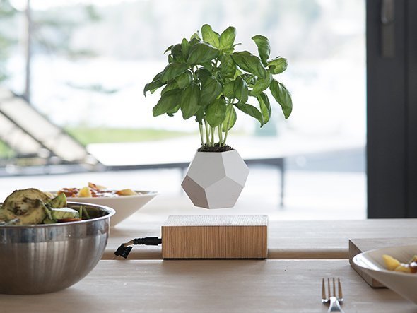 【フライミー プリュス/FLYMEe PLUS / GOODS】のLYFE / ライフ プランターポット 人気、トレンドファッション・服の通販 founy(ファニー) 　送料無料　Free Shipping　フラワー　Flower, Floral　ホーム・キャンプ・アウトドア・お取り寄せ　Home Living / Home & Lifestyle / Camping Gear / Outdoor Camping　家具・インテリア　Home Furniture & Interior. Stylish & Functional Living Spaces　その他 インテリア雑貨、家具　Home Decor & Furniture Extras　other-5|ID: prp329100000008857 ipo3291000000031526240