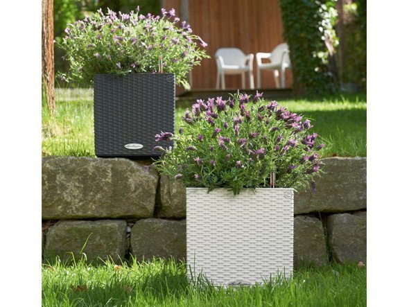 【レチューザ/Lechuza / GOODS】のCottage Cube / コテージキューブ 底面灌水セット付 人気、トレンドファッション・服の通販 founy(ファニー) 　ライナー　Liner, Inner Layer　送料無料　Free Shipping　おすすめ　Recommended / Our Picks　ホーム・キャンプ・アウトドア・お取り寄せ　Home Living / Home & Lifestyle / Camping Gear / Outdoor Camping　家具・インテリア　Home Furniture & Interior. Stylish & Functional Living Spaces　その他 インテリア雑貨、家具　Home Decor & Furniture Extras　other-4|ID: prp329100000009439 ipo3291000000031526426